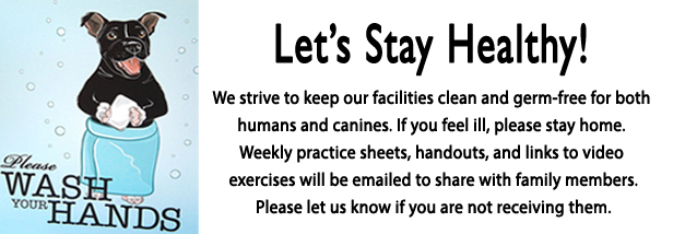 Let's Stay Healthy graphic
