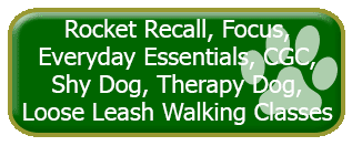 Specialty Classes Button